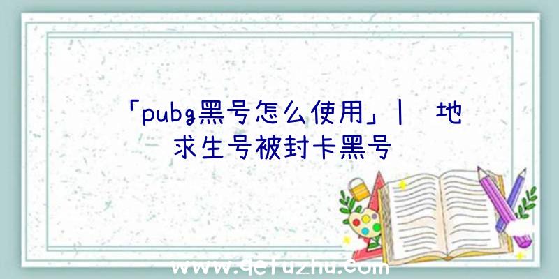 「pubg黑号怎么使用」|绝地求生号被封卡黑号